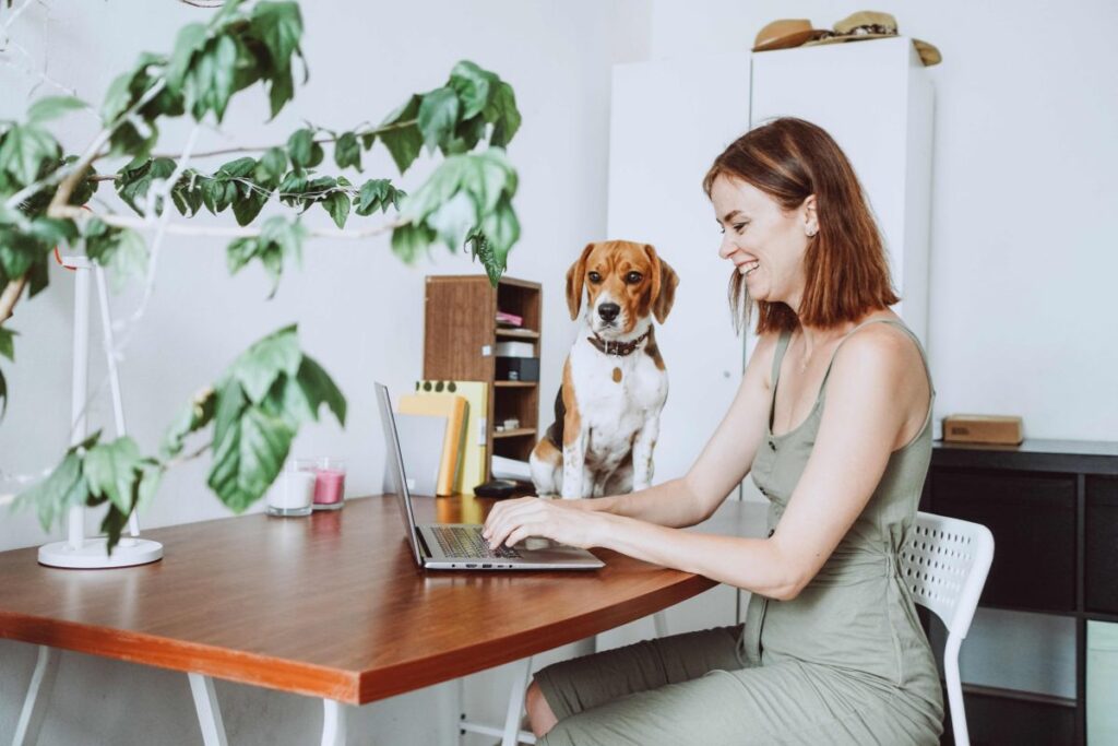A woman sits at her desk on her laptop and laughs. Her dog sits on the top of her desk.