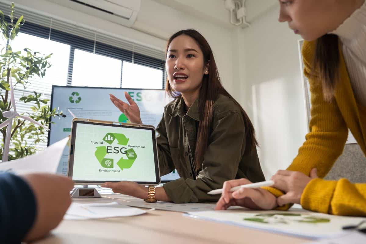 A team working together in a sustainable company